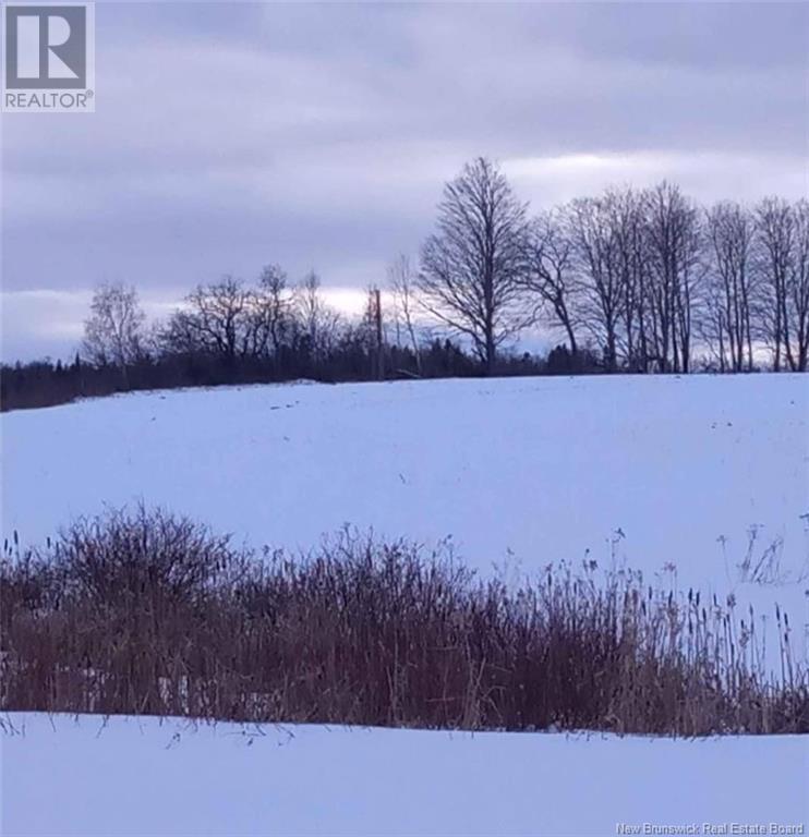 Route 560 Highway Property Photo 4