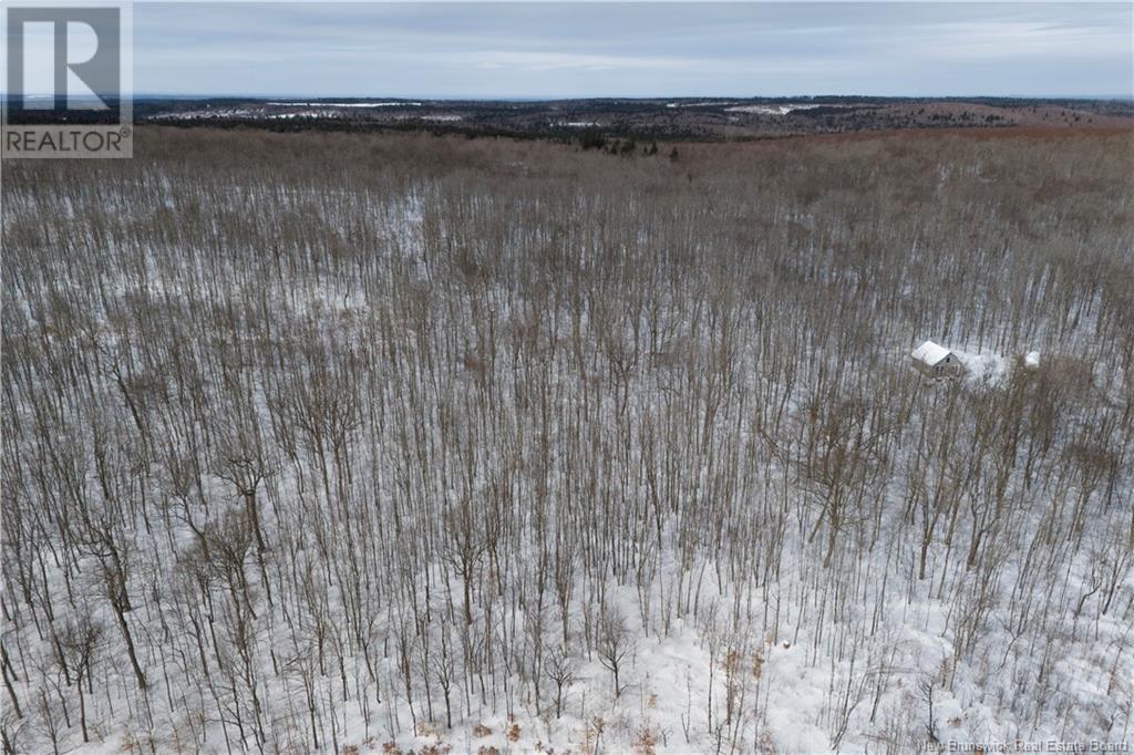 Mcdoo Road Property Photo 5