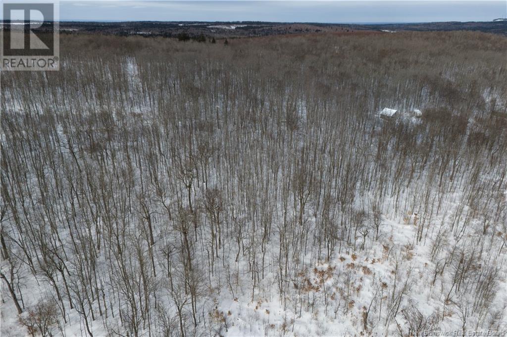 Mcdoo Road Property Photo 6