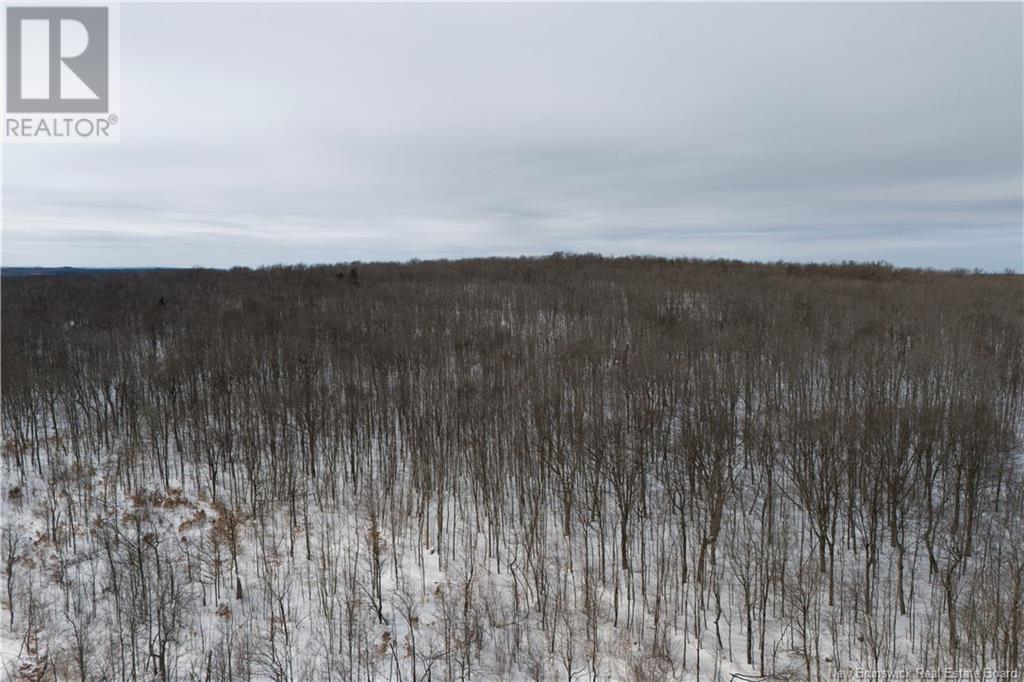 Mcdoo Road Property Photo 8