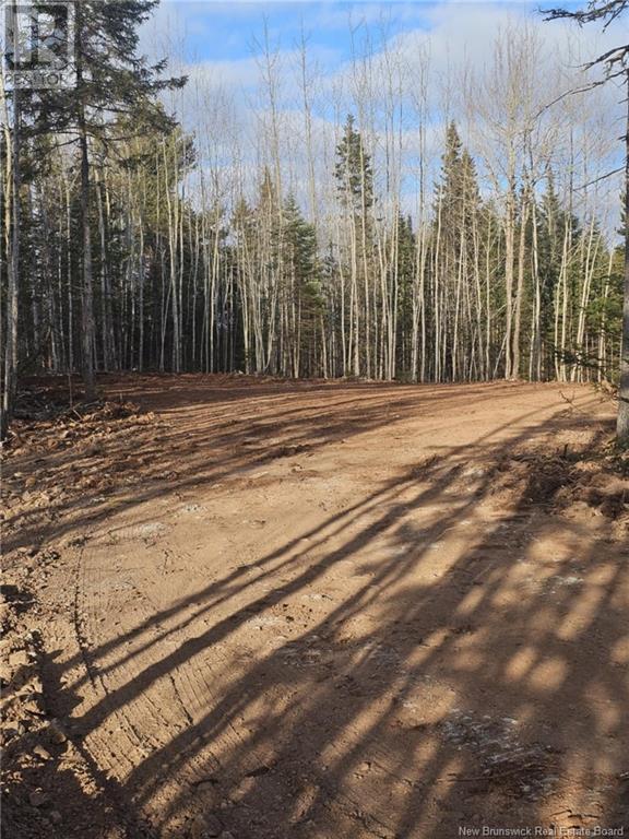 Lot 04-17 Sunset View Lane Property Photo 2