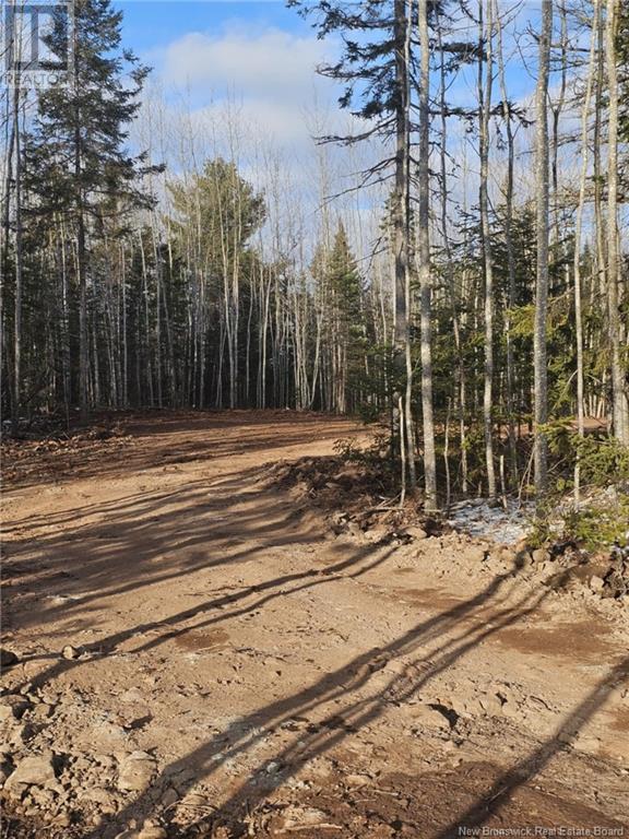Lot 04-17 Sunset View Lane Property Photo 3