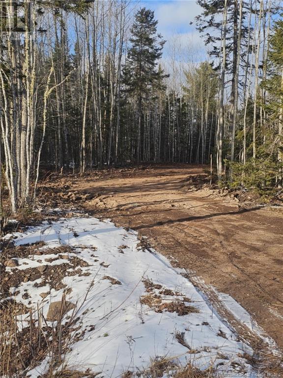 Lot 04-17 Sunset View Lane Property Photo 4