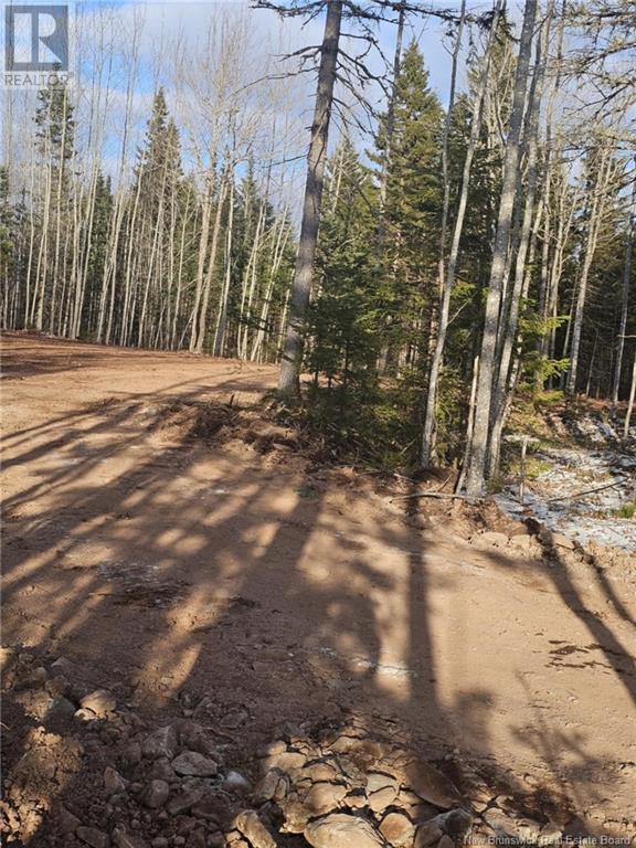 Lot 04-17 Sunset View Lane Property Photo 5