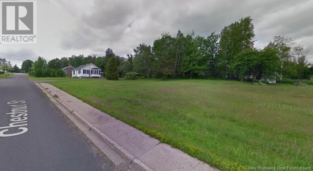 Lot Chestnut Street Property Photo 13