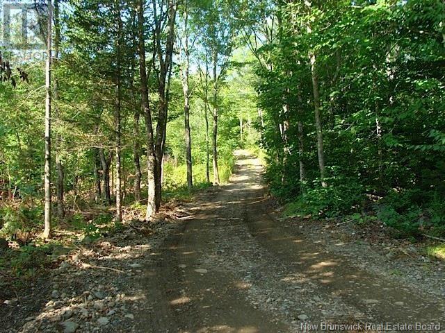 408 Route 540 Property Photo 4