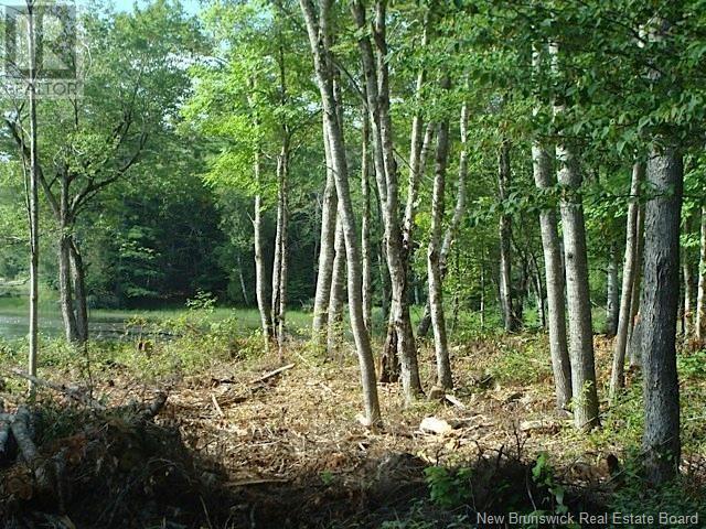408 Route 540 Property Photo 5