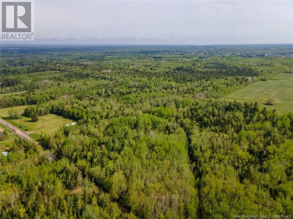 Lot 21-05 Haut St Antoine Road Property Photo 8