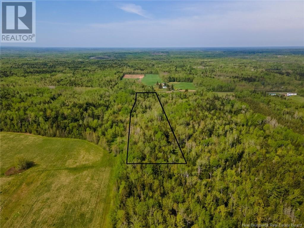 Lot 21-05 Haut St Antoine Road Property Photo 18