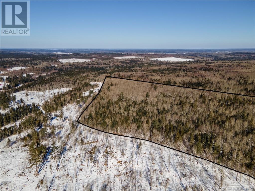 Lot Annindale Ridge Road Property Photo 6