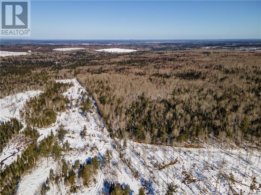 Lot Annindale Ridge Road Property Photo 8