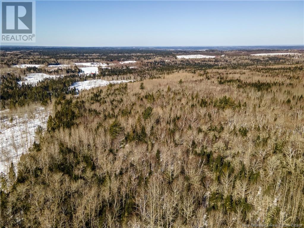 Lot Annindale Ridge Road Property Photo 9