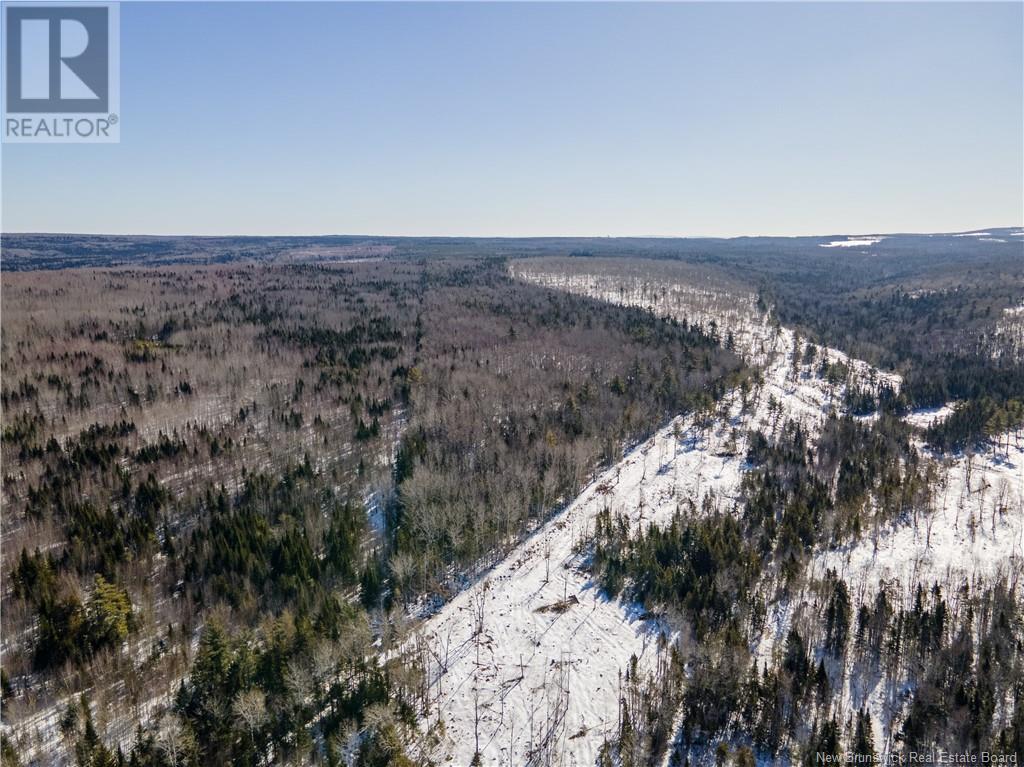 Lot Annindale Ridge Road Property Photo 10