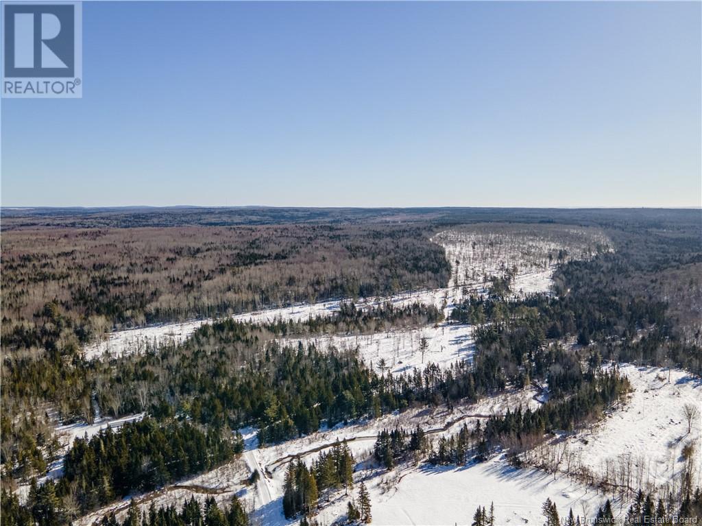 Lot Annindale Ridge Road Property Photo 11