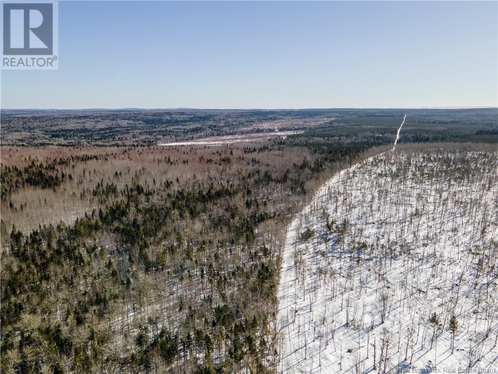 Lot Annindale Ridge Road Property Photo 13