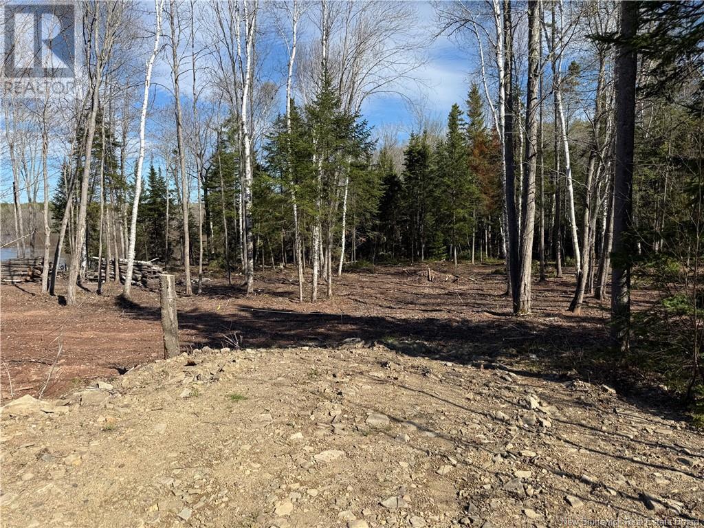 Lot 04-2 Route 690 Property Photo 14