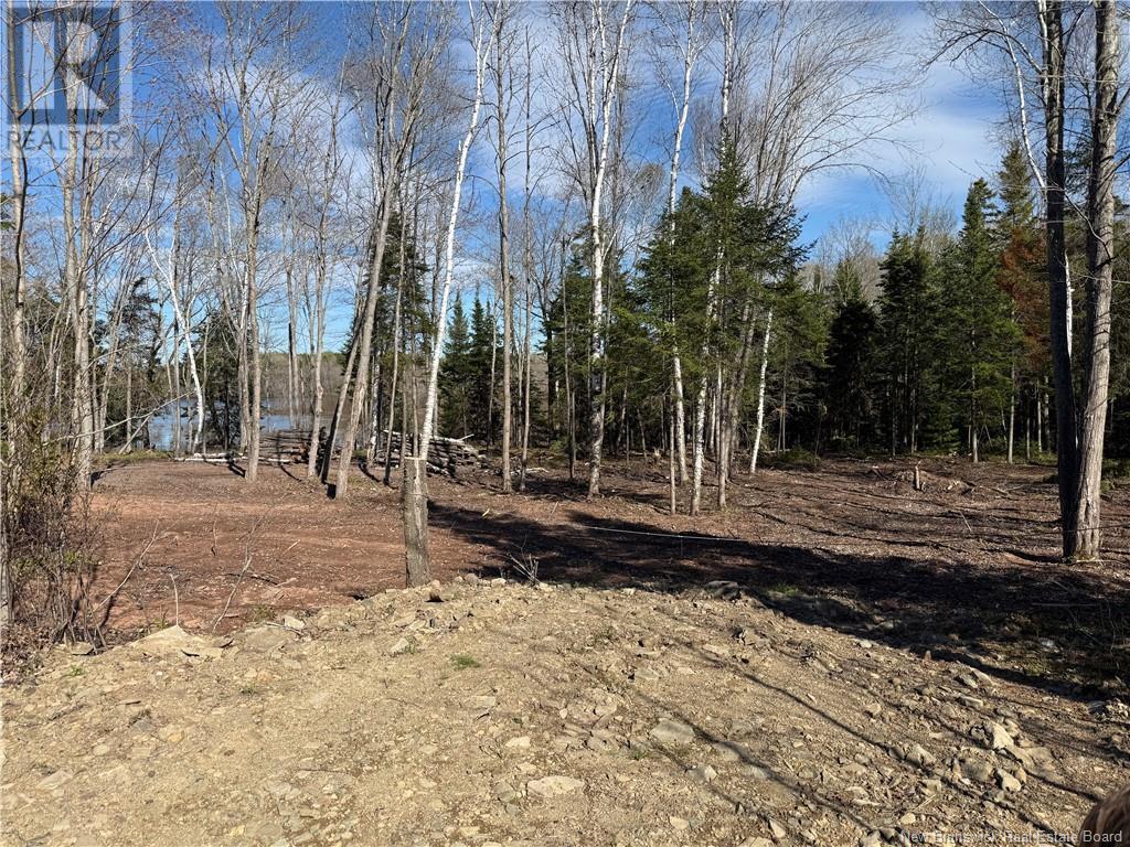 Lot 04-2 Route 690 Property Photo 15
