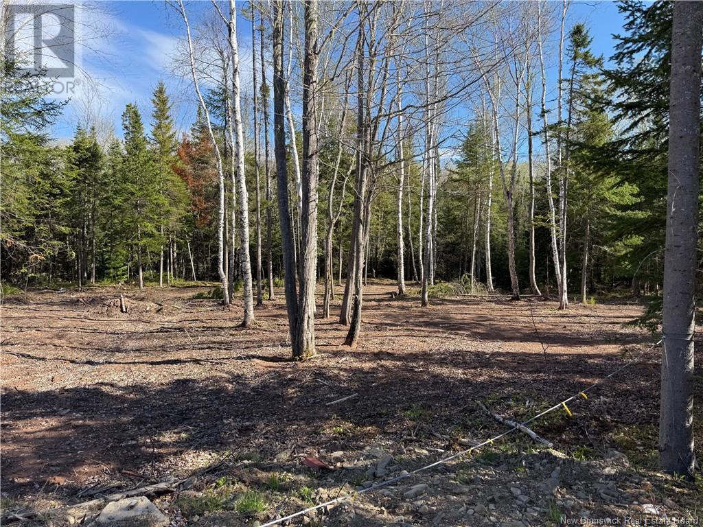 Lot 04-2 Route 690 Property Photo 16