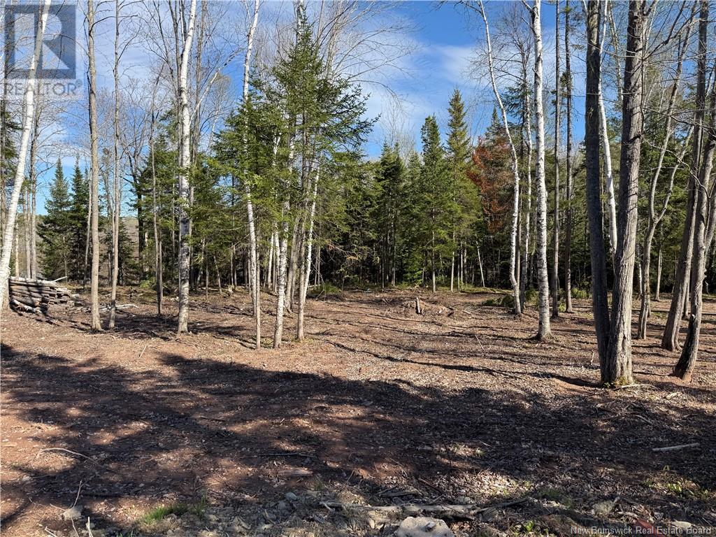 Lot 04-2 Route 690 Property Photo 17