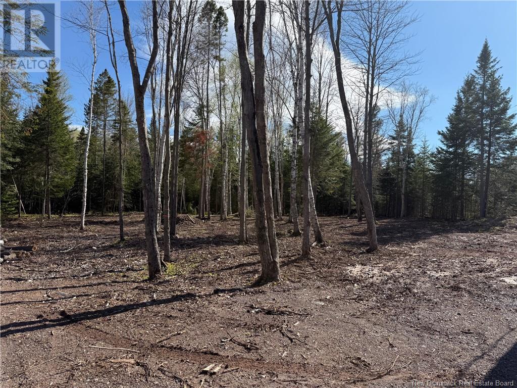 Lot 04-2 Route 690 Property Photo 18