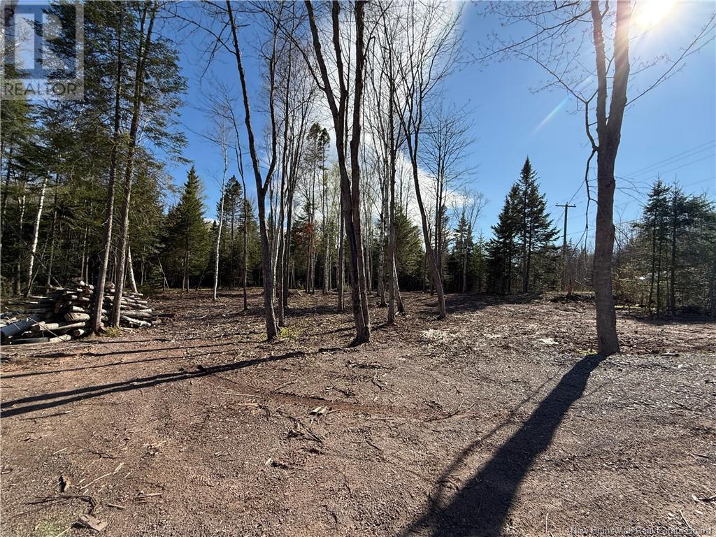 Lot 04-2 Route 690 Property Photo 19