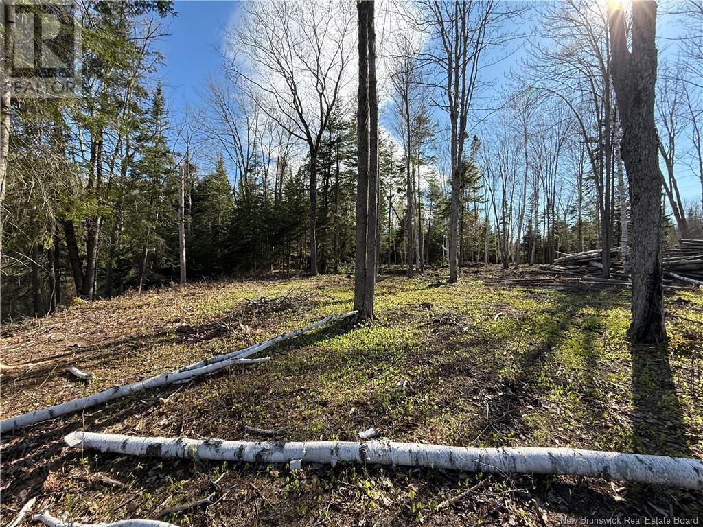 Lot 04-2 Route 690 Property Photo 20