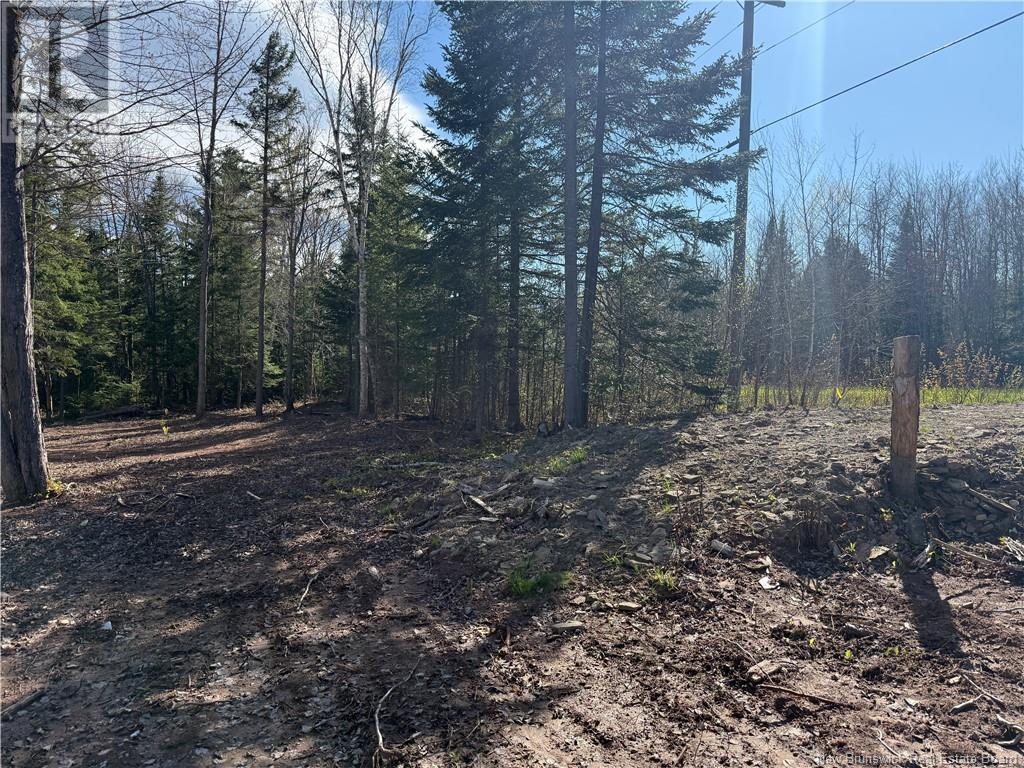 Lot 04-2 Route 690 Property Photo 21