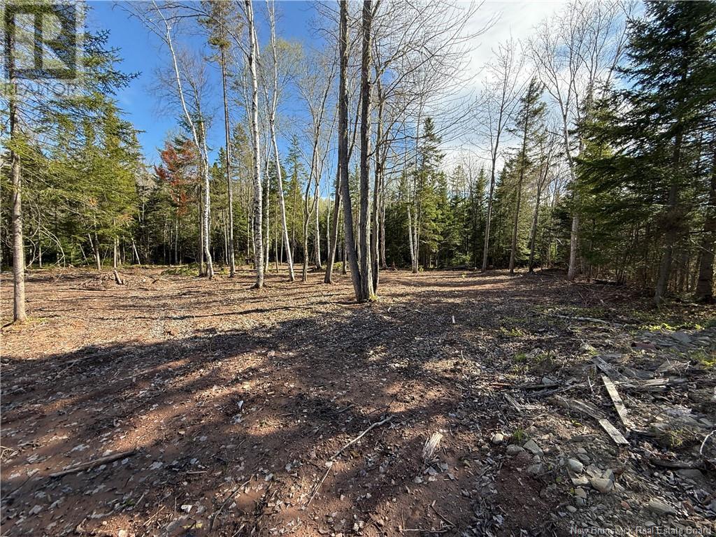 Lot 04-2 Route 690 Property Photo 22