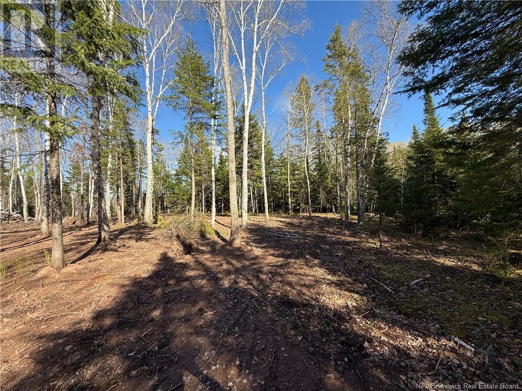 Lot 04-2 Route 690 Property Photo 23