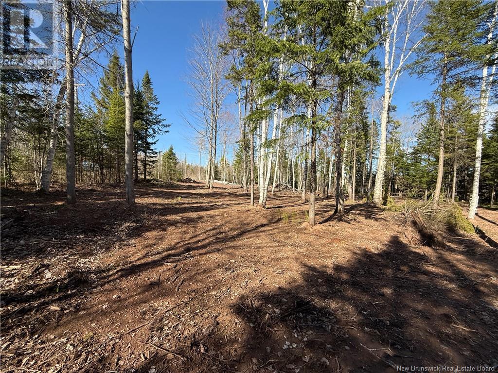 Lot 04-2 Route 690 Property Photo 24