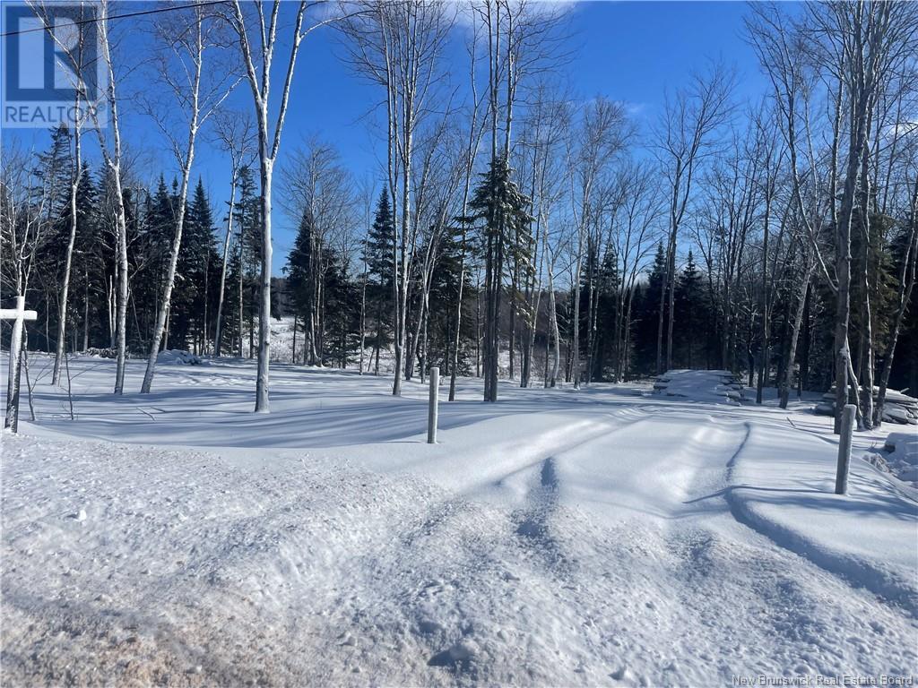 Lot 04-2 Route 690 Property Photo 34