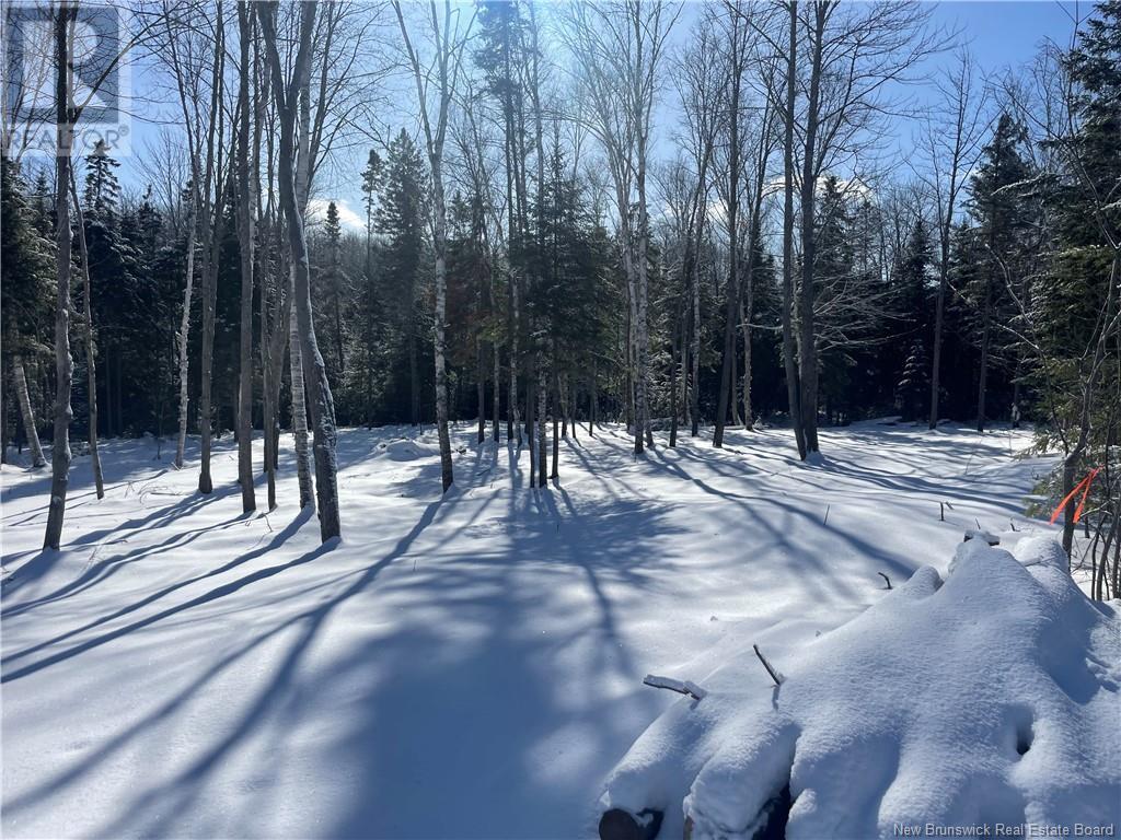 Lot 04-2 Route 690 Property Photo 35