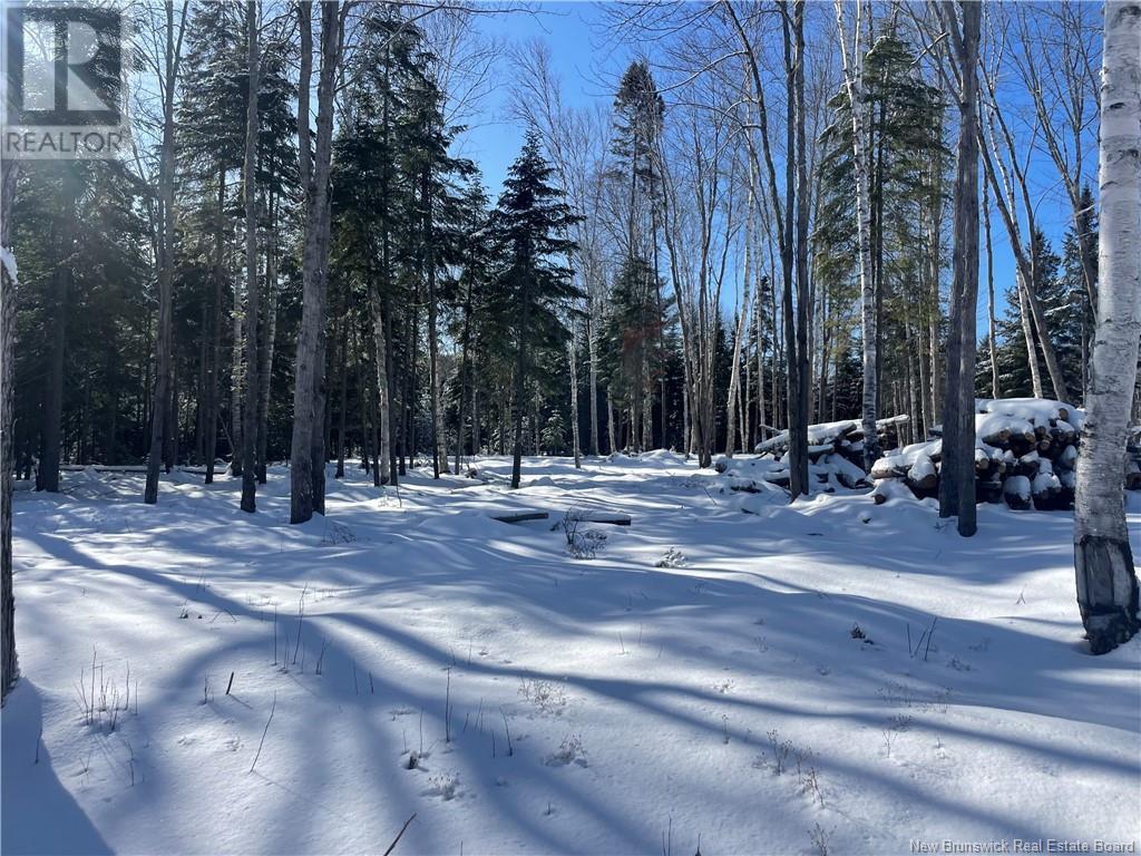 Lot 04-2 Route 690 Property Photo 36
