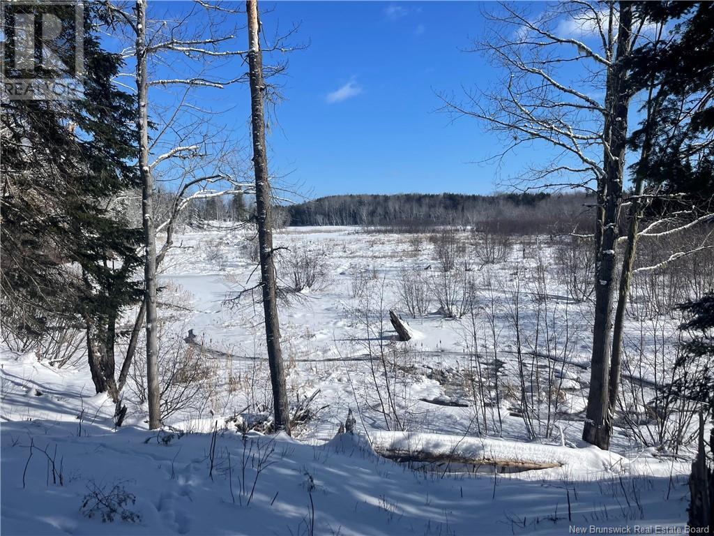 Lot 04-2 Route 690 Property Photo 37