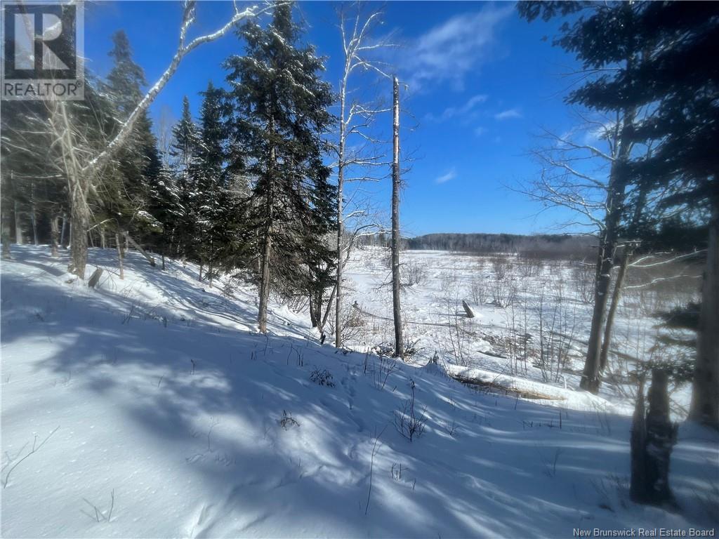 Lot 04-2 Route 690 Property Photo 38