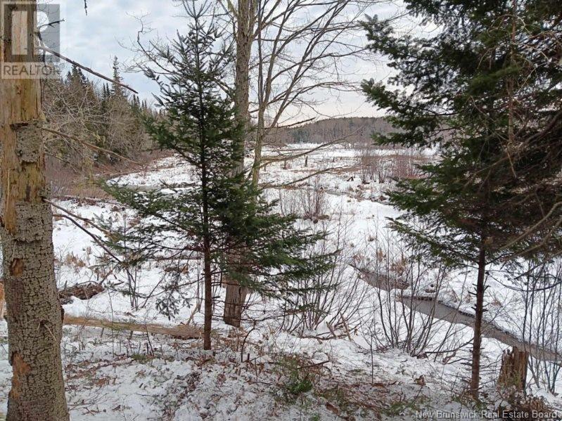 Lot 04-2 Route 690 Property Photo 39