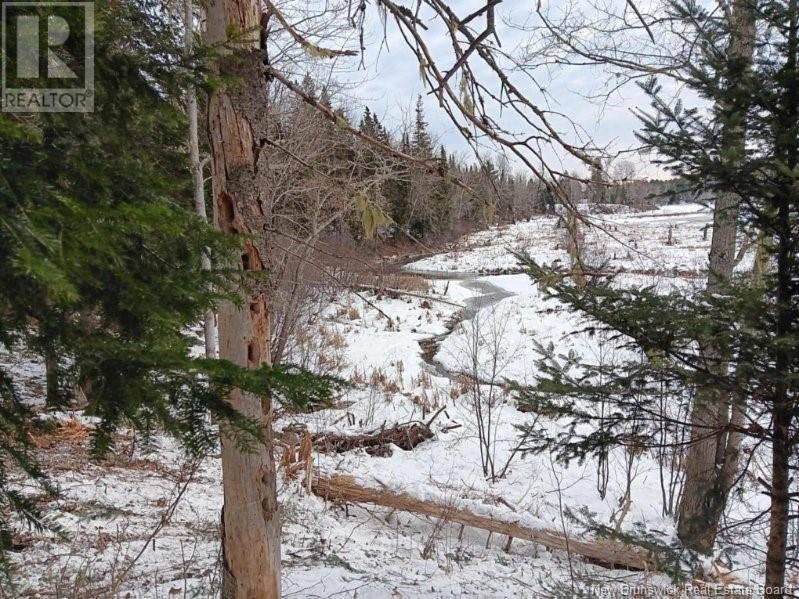 Lot 04-2 Route 690 Property Photo 40