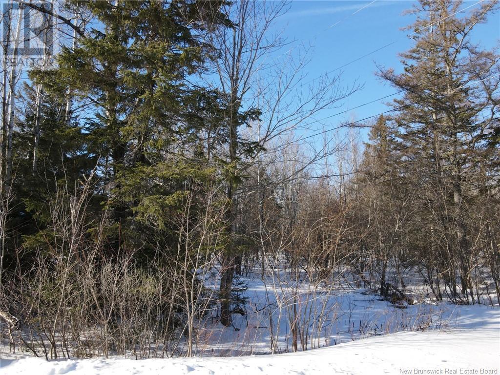 Lot 02-3 Elzea Lane Property Photo 5