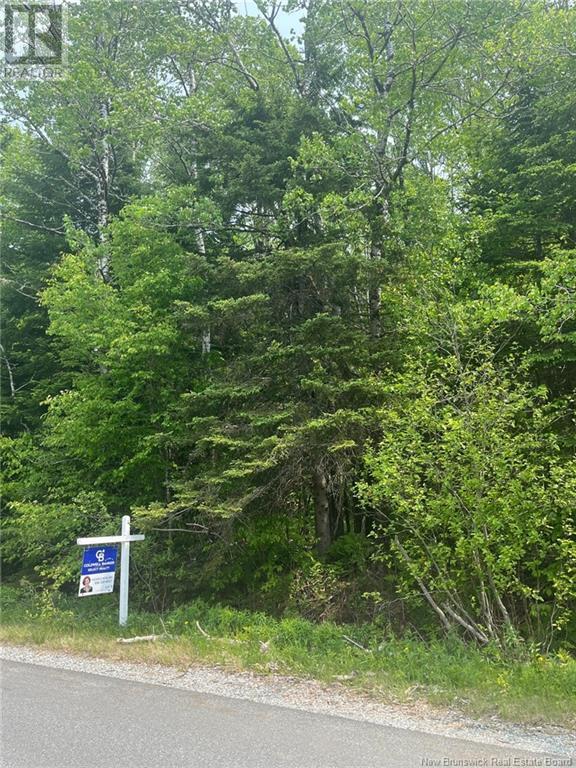 22-5 Bradley Lake Road Property Photo 1