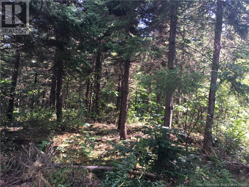 6629 Highway 15 Property Photo 1