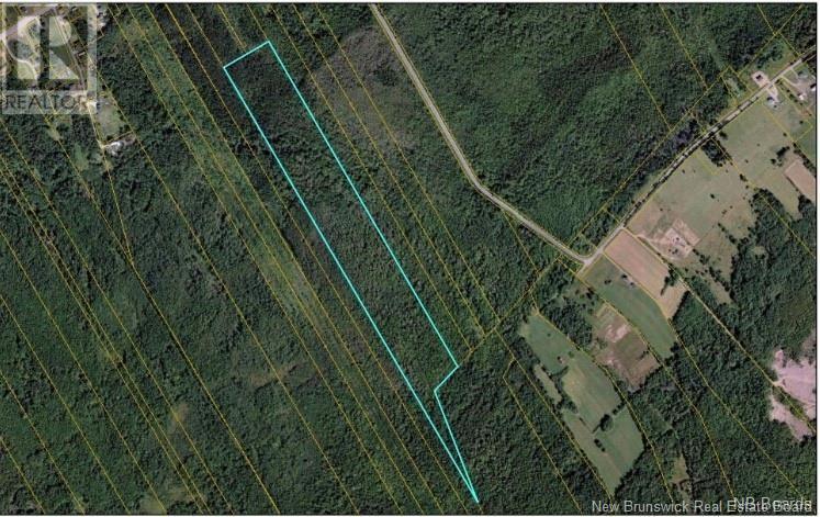 31.7 Acres Route 117 Property Photo 1