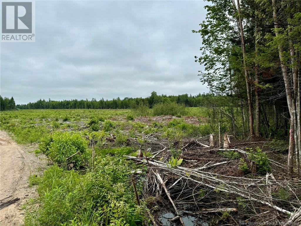 51.4 Hec Route 108 Property Photo 6