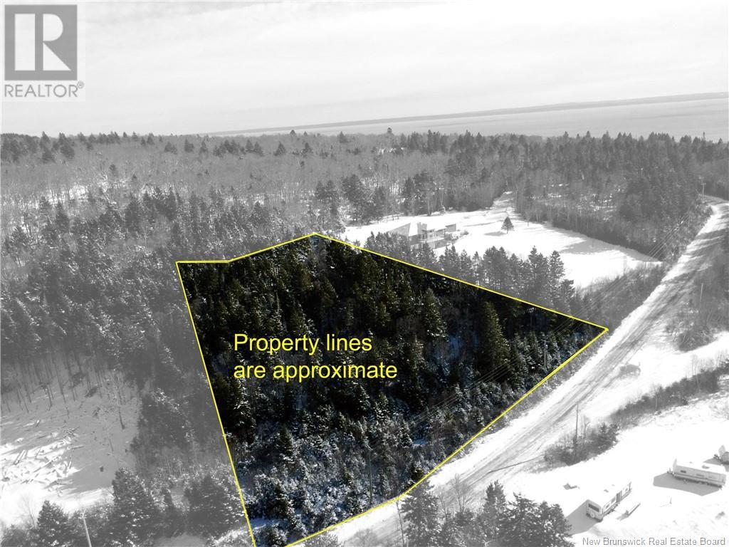 Lot 22-1 Forest Drive Property Photo