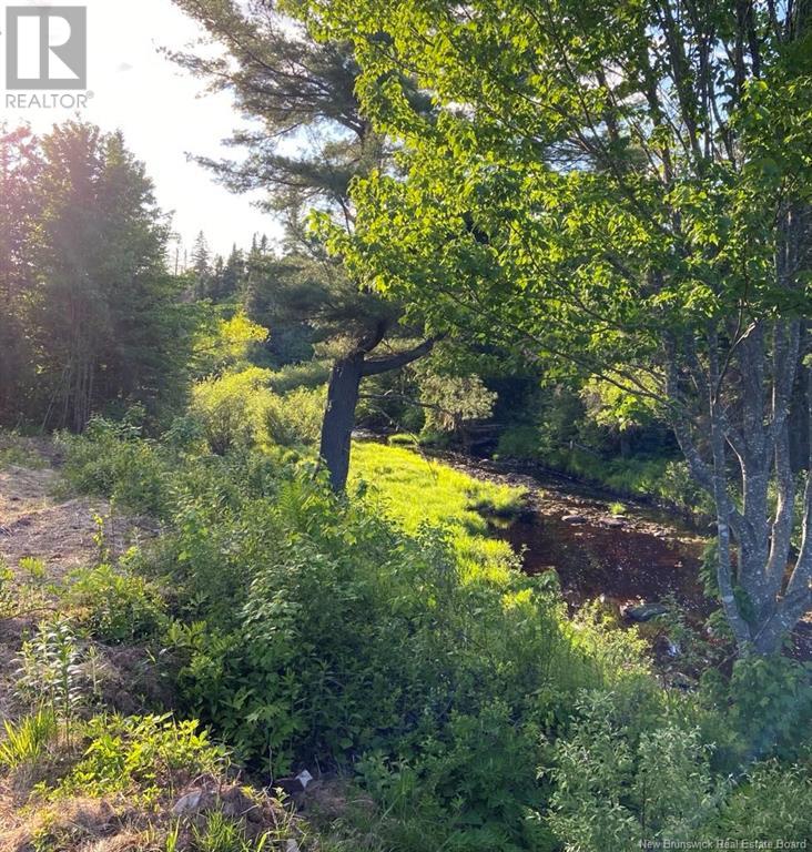 319 Cumberland Bay South Road Property Photo