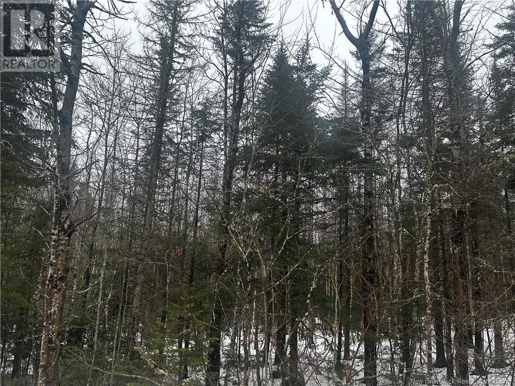 Route 905 Property Photo 1
