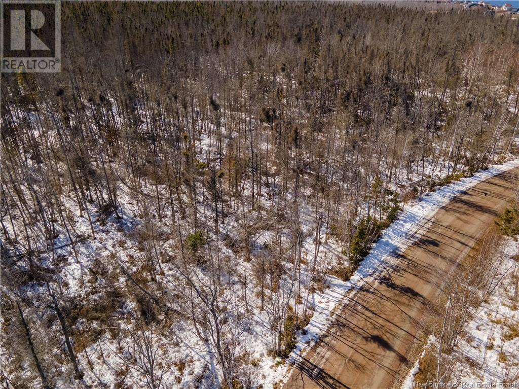 Lot 80-7 Birch Road Property Photo 3