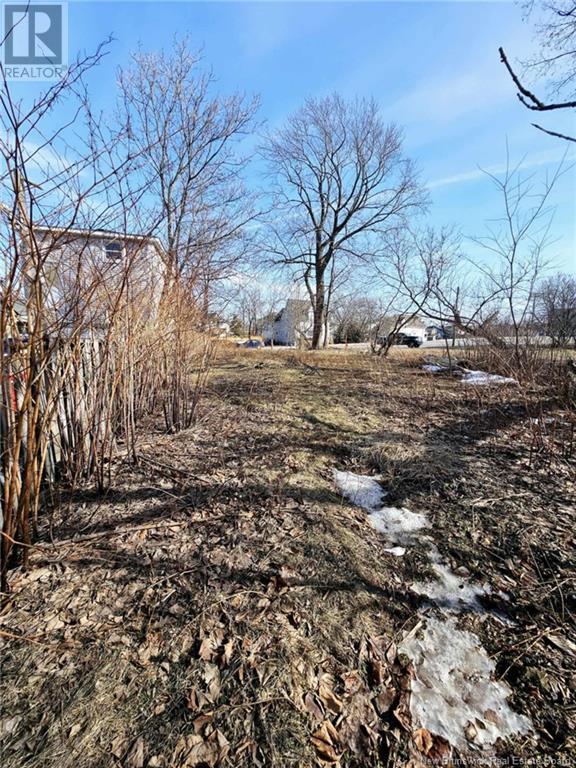 216 Botsford Street Property Photo 5