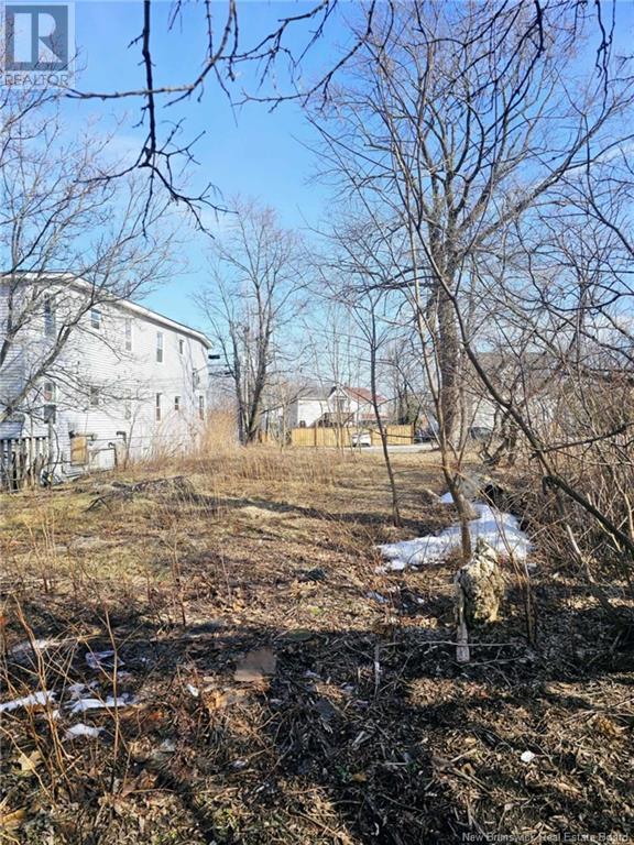 216 Botsford Street Property Photo 6
