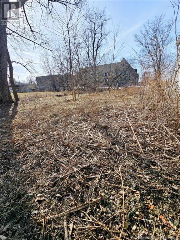 216 Botsford Street Property Photo 7