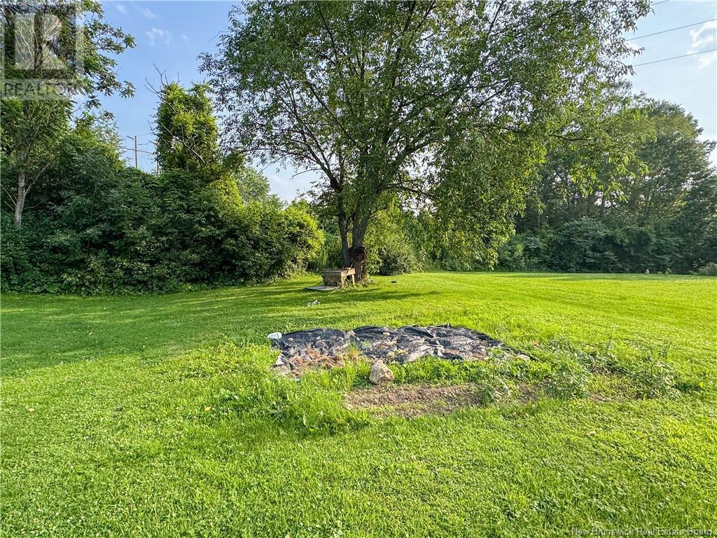 3559 Route 585 Property Photo 6